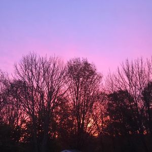 Meet your Posher, Colleen